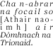 Cha n-abrar na focail so ...